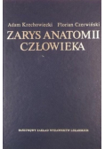 Zarys anatomii człowieka