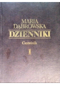 Dąbrowska Dzienniki tom 1