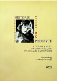 Historie celuloidem podszyte