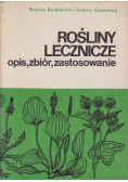 Rośliny lecznicze opis zbiór zastosowanie