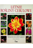 Letnie rośliny cebulowe