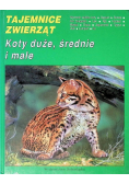 Tajemnice zwierząt Sekrety małych ssaków