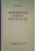 Schorzenia młodych zwierząt