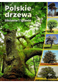 Polskie drzewa liściaste i iglaste