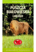 Puszcza Białowieska i okolice