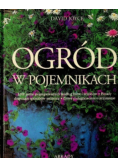 Ogród w pojemnikach
