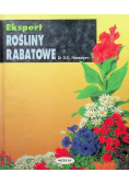 Rośliny rabatowe