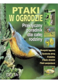 Ptaki w ogrodzie praktyczny poradnik dla całej rodziny