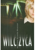 Wilczyca