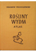 Rośliny wydm Atlas