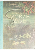 Morze żyje