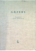 Grzyby