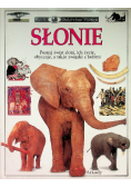Słonie. Patrzę - Podziwiam - Poznaję