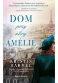 Dom przy ulicy Amlie