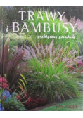 Trawy i bambusy