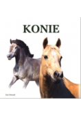 Konie