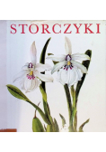 Storczyki
