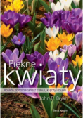 Piękne kwiaty Rośliny rozmnażane  z cebul kłączy i bulw