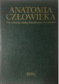 Anatomia człowieka
