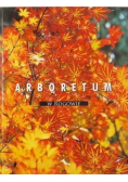 Arboretum w Rogowie