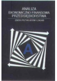 Analiza ekonomiczno - finansowa przedsiębiorstwa
