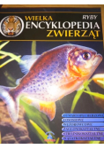 Wielka encyklopedia zwierząt Tom 23 Ryby