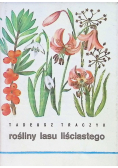Rośliny lasu liściastego
