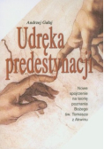 Udręka predystynacji