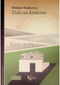 Ziele na kraterze