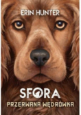 Sfora Tom 4 Przerwana wędrówka