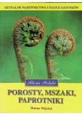 Porosty mszaki paprotniki