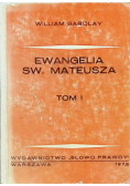 Ewangelia Św. Mateusza Tom I