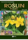 Ilustrowana encyklopedia roślin Polski