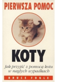 Pierwsza pomoc koty