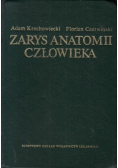 Zarys anatomii człowieka