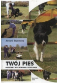 Twój pies podstawy wychowania i szkolenia