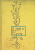 Chwasty łąk i pastwisk