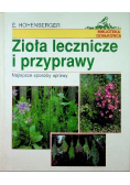 Zioła lecznicze i przyprawy