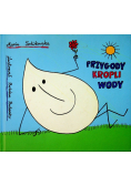 Przygody kropli wody