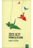 Żółte oczy prowadzą do domu