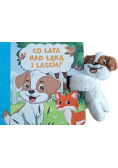 Co lata nad łąką i lasem?