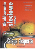 Księga eksperta TCP/IT
