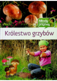 Królestwo grzybów