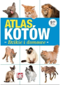 Atlas kotów