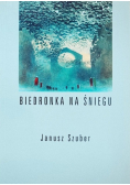 Biedronka na śniegu