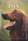 Psy