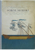 Sokół morski