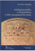 Inteligencja polska w Poznańskiem w XiX i początkach XX wieku