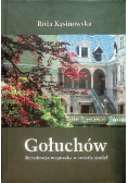 Gołuchów Rezydencja magnacka w świetle źródeł