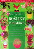 Rośliny pokojowe